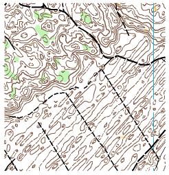 Description: Garciems